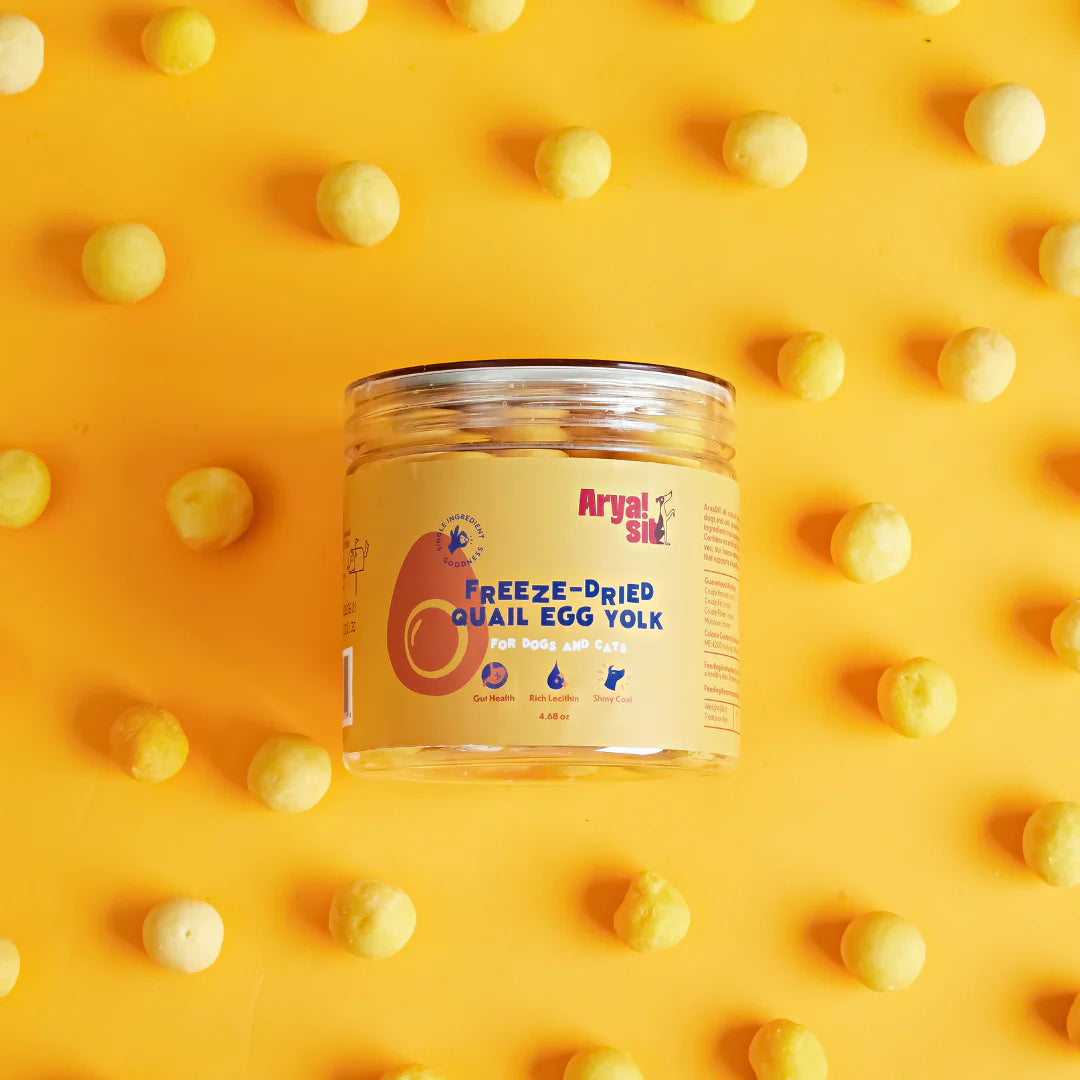 Egg yolk for kittens clearance