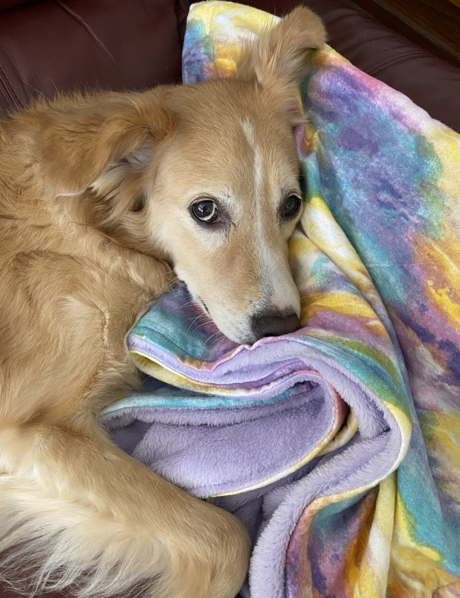 Design your own Snuggle Blankets – Wild at Heart Pet Company